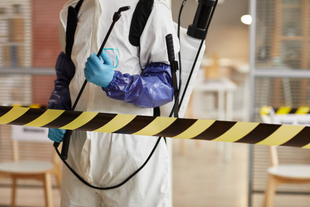 Professional Sewage Cleanup technician working in Columbus, TX